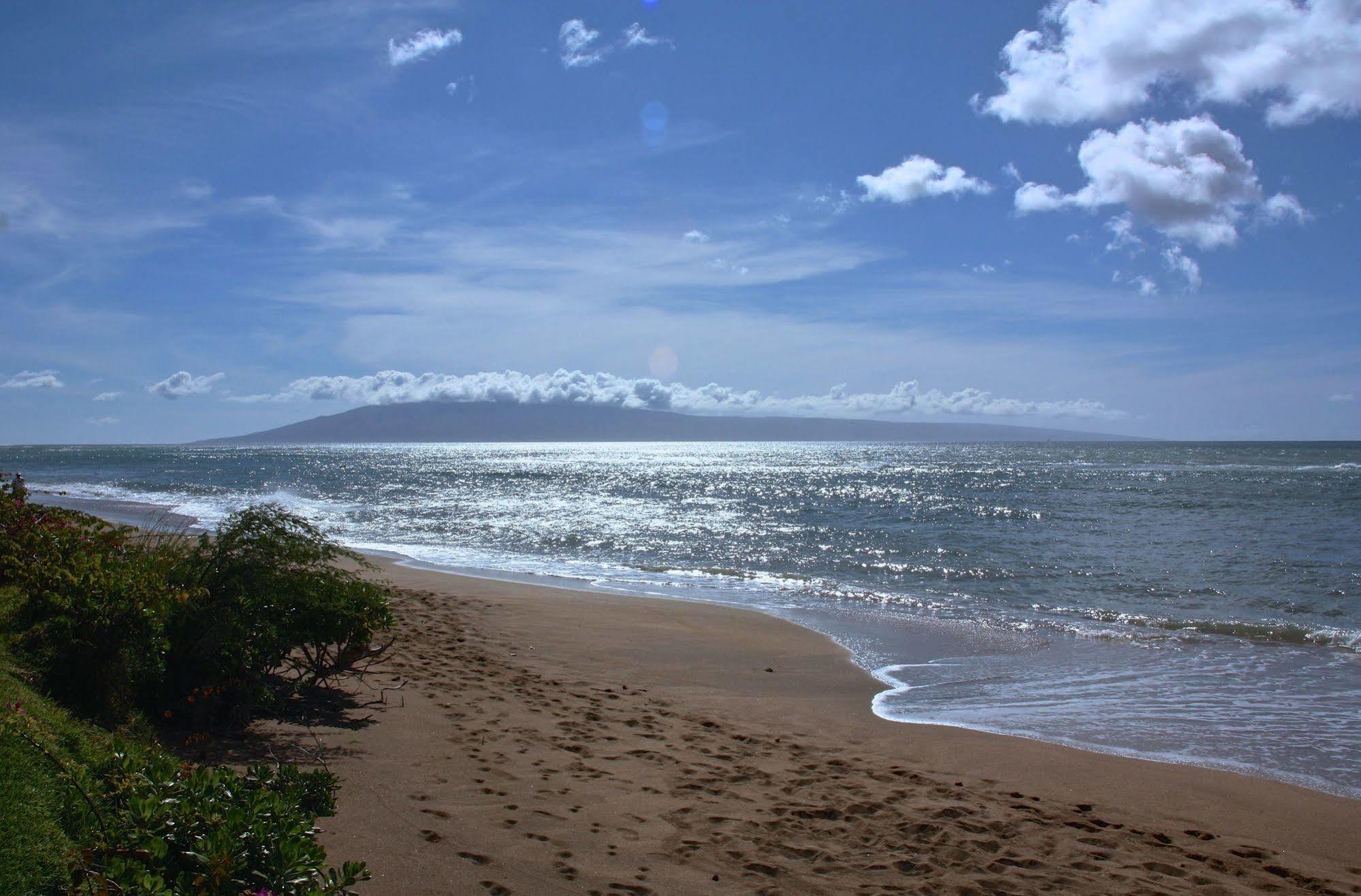 Ocean View Suite At Royal Kahana Buitenkant foto